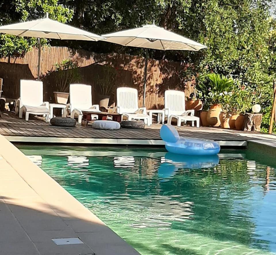 Mas Provencal Au Cannet Des Maures ル・カネ・デ・モール エクステリア 写真