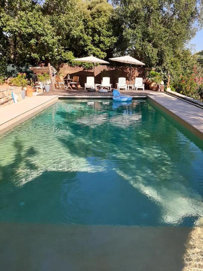 Mas Provencal Au Cannet Des Maures ル・カネ・デ・モール エクステリア 写真